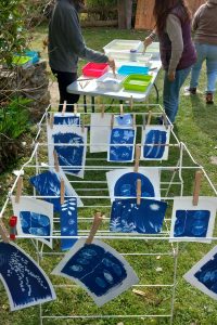 tallers de cianotipia en grup